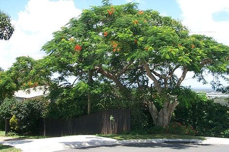 16 Marie St, Tweed Heads South, NSW 2486