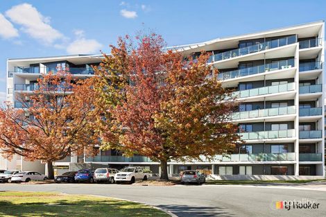 2/74 Leichhardt St, Griffith, ACT 2603