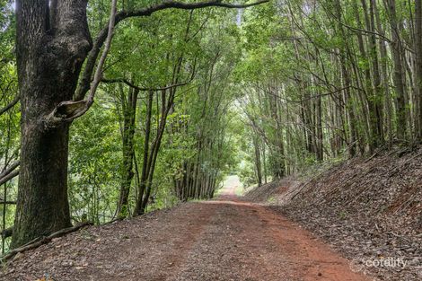 Property photo of 532 Upper Burringbar Road Upper Burringbar NSW 2483