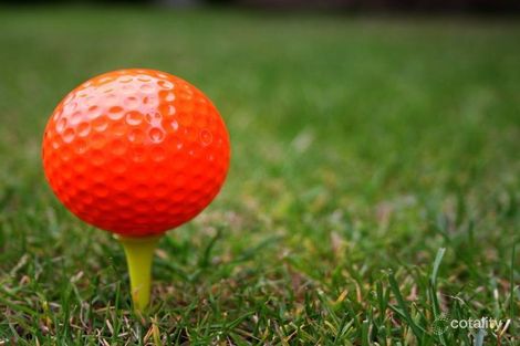 Lot 125 Avondale Rd, Huntley, NSW 2530