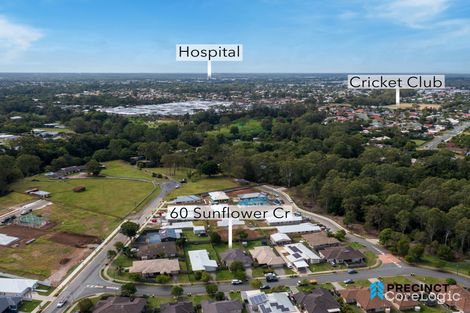 Property photo of 60 Sunflower Crescent Upper Caboolture QLD 4510