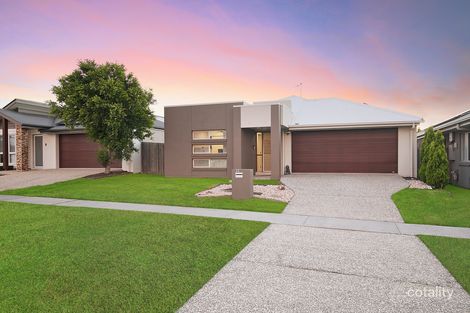 Property photo of 22 Cayenne Street Griffin QLD 4503