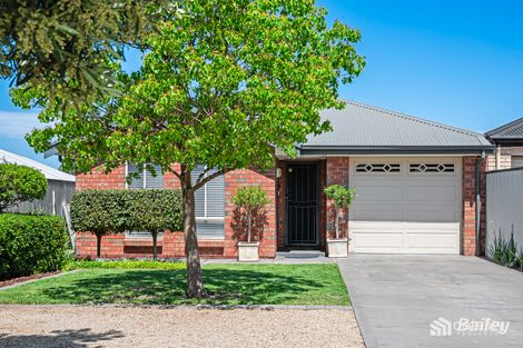 19a Murray St, Ridgehaven, SA 5097
