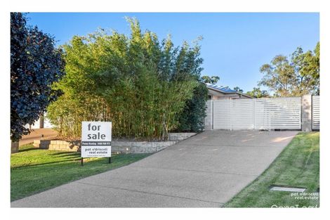 Property photo of 52 Belbowrie Avenue Norman Gardens QLD 4701