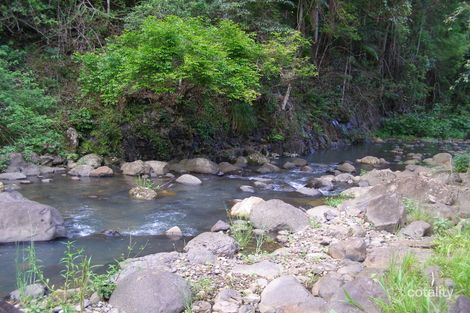 Property photo of 3362 Nerang Murwillumbah Road Natural Bridge QLD 4211