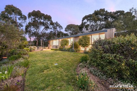 Property photo of 6/44 Shackleton Circuit Mawson ACT 2607