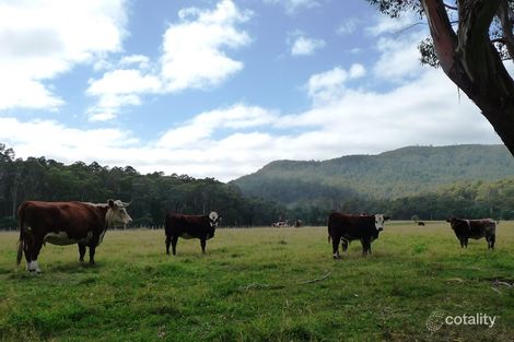 50 Cloverbanks Rd, St Marys, TAS 7215