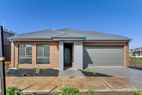 13 Cooney Cct, Kalkallo, VIC 3064