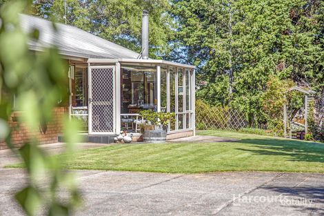 Property photo of 7 Evelyn Street Penguin TAS 7316