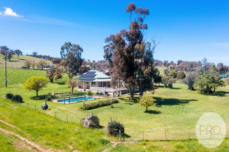 Property photo of 631 Wokolena Road Alfredtown NSW 2650