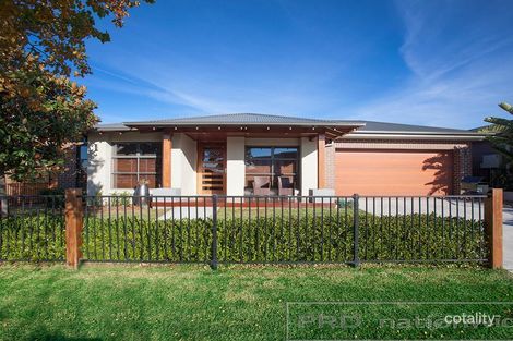 Property photo of 21 Whitetip Street Chisholm NSW 2322