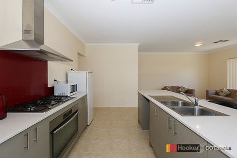 Property photo of 8 Stableford Loop Yanchep WA 6035