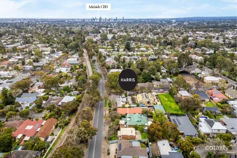 Property photo of 189 Belair Road Torrens Park SA 5062