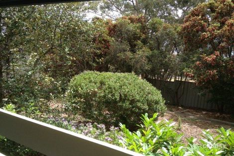 Property photo of 61 Dexter Street Cook ACT 2614