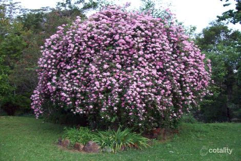 Property photo of 135 Campbell Road Bellthorpe QLD 4514