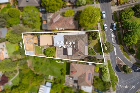 Property photo of 4 Koolkuna Avenue Doncaster VIC 3108