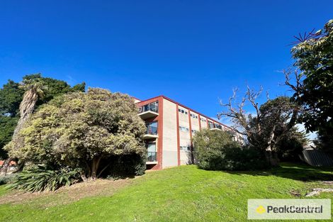 2/37 Paulik Way, Hamilton Hill, WA 6163