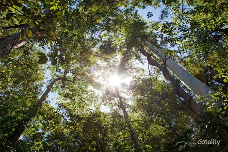 Property photo of 33 Egret Avenue Woombye QLD 4559