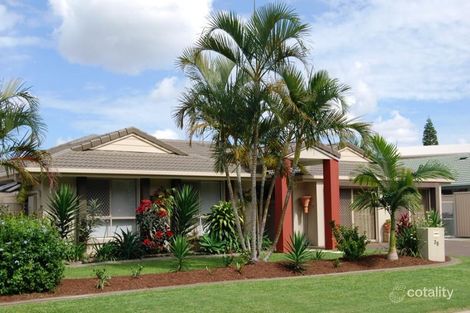 Property photo of 38 Bradshaw Drive Currumbin Waters QLD 4223