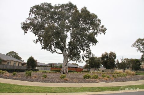Property photo of 7 Merivale Close Sandhurst VIC 3977