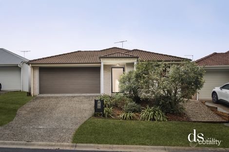 Property photo of 41 Nocturnal Promenade Narangba QLD 4504