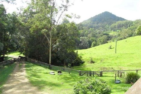 Property photo of 25 Benelong Place Stokers Siding NSW 2484