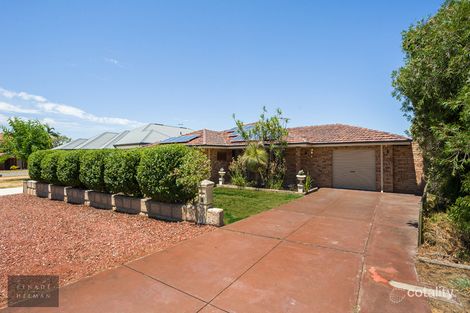 Property photo of 22 Donne Court Spearwood WA 6163