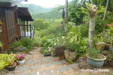 Property photo of 79 Mahogany Road Diwan QLD 4873