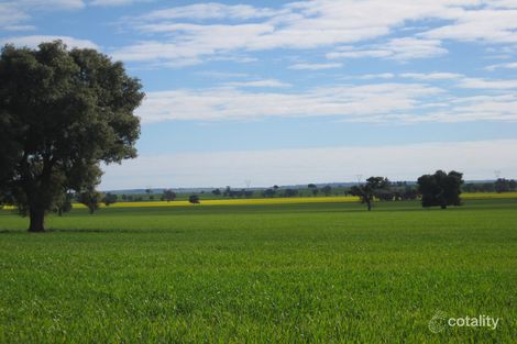 1371 Sandigo Rd, Boree Creek, NSW 2652