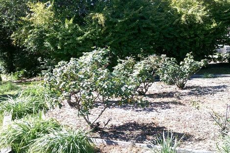 Property photo of 41 Rose Street Wee Waa NSW 2388