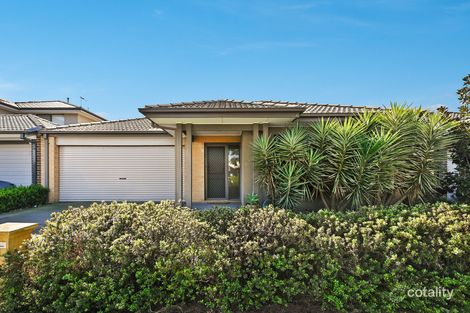 Property photo of 44 Haflinger Avenue Clyde North VIC 3978