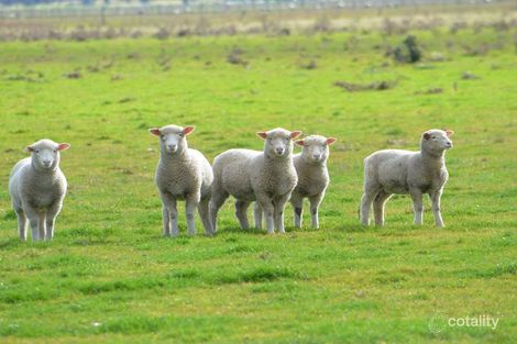 994 Clay Wells Rd, Bray, SA 5276