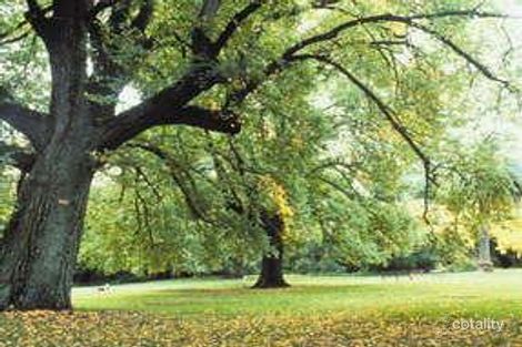 196c Riversdale Rd, Hawthorn, VIC 3122