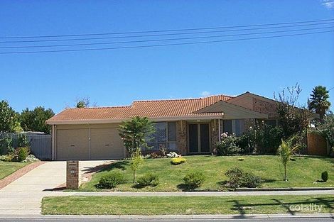 16 Rostrata Ave, Willetton, WA 6155
