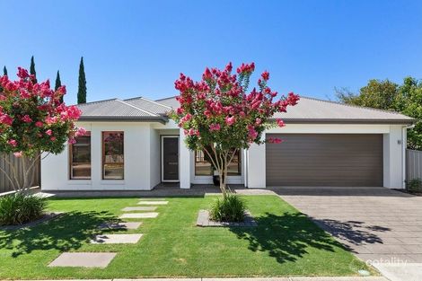 Property photo of 5 McEwin Avenue North Plympton SA 5037