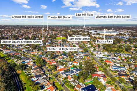 Property photo of 48 Ian Crescent Chester Hill NSW 2162