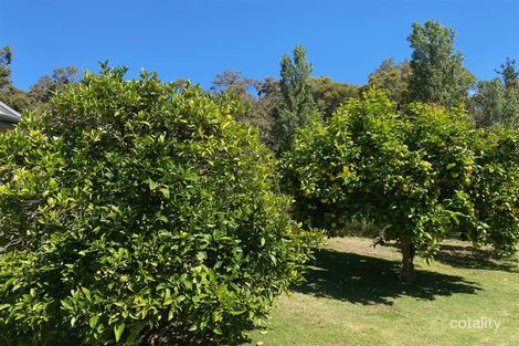 Property photo of 10 Walter Road Bridgetown WA 6255