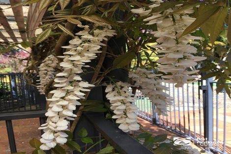 Property photo of 12 Gumly Close Burringbar NSW 2483