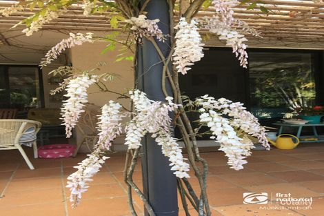 Property photo of 12 Gumly Close Burringbar NSW 2483