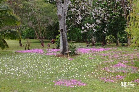 Property photo of 12 Gumly Close Burringbar NSW 2483