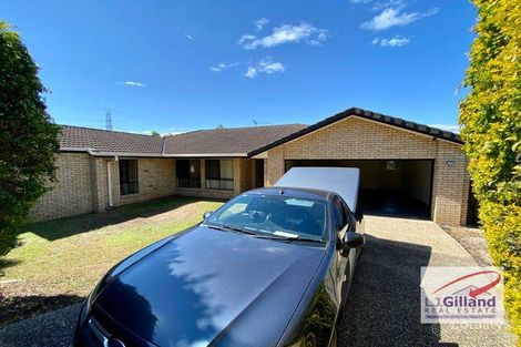 Property photo of 15 Jericho Circuit Murarrie QLD 4172