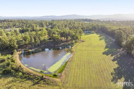 Property photo of 188 Londons Road Lovedale NSW 2325