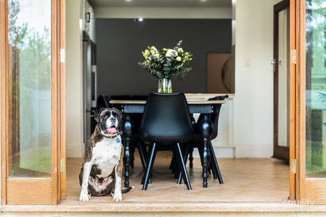 Property photo of 9 Herbert Street Plympton Park SA 5038