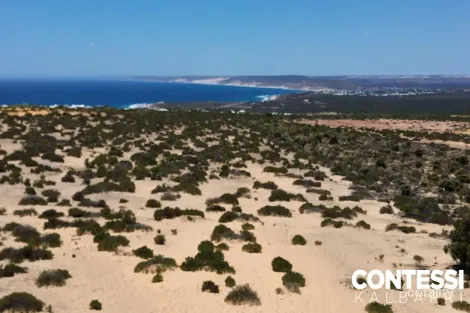 Property photo of 101 Explorer Avenue Kalbarri WA 6536