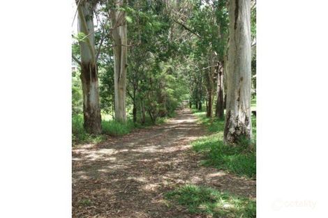 Property photo of 203 Nandroya Road Cooroy QLD 4563