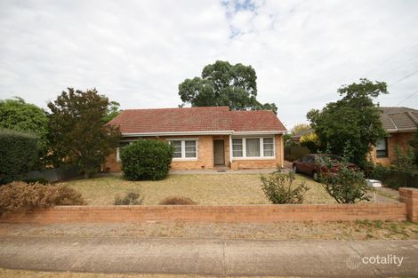 3 Lynne Ct, Marion, SA 5043