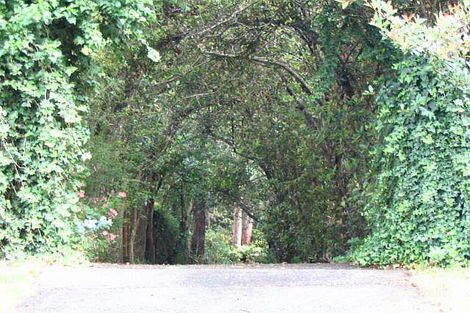 41a Ridge St, Epping, NSW 2121