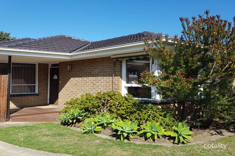 Property photo of 3/19 Tulip Grove Cheltenham VIC 3192