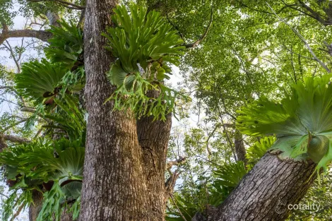 Property photo of 363 Middle Pocket Road Middle Pocket NSW 2483