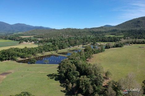 60 Irvin Accs, Little Mulgrave, QLD 4865